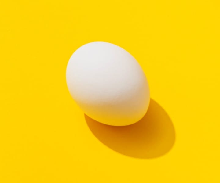 Yellow background with an egg